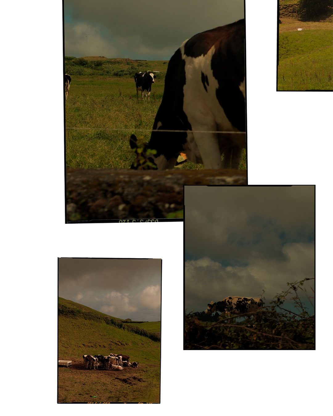 ENTREVISTA-AZORES_03